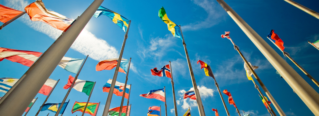 Viele internationale Flaggen wehen an Fahnenmasten vor blauem Himmel bei sonnigem Wetter.